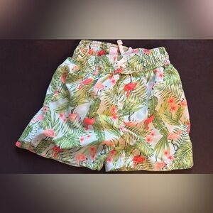 Tropical Flamingo Kids Swim Trunks 24 months